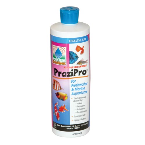 PraziPro