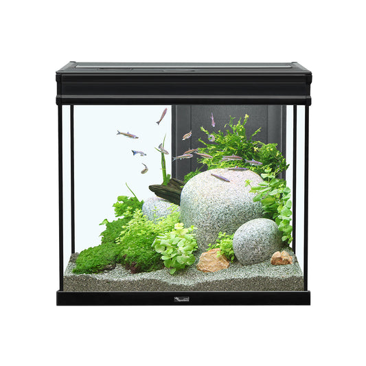 Elegance Expert Aquarium BLACK/WHITE/GREY