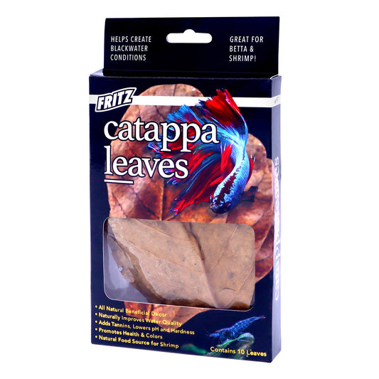 Catappa Leaves