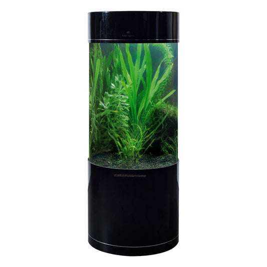 Cylinder Aquarium - Sump Filtration 80gallon and 125gallon