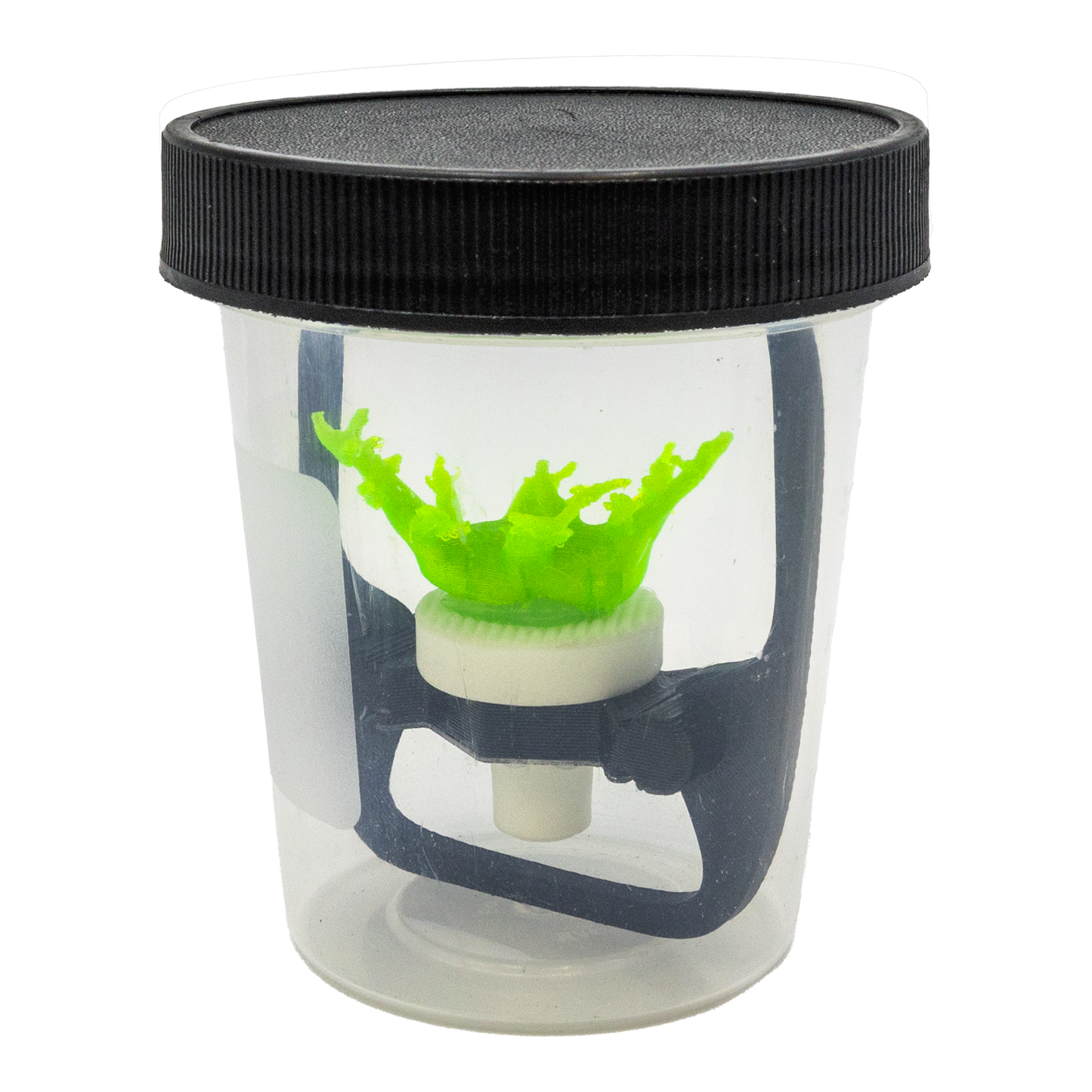 Coral Frag Support Travel Cup