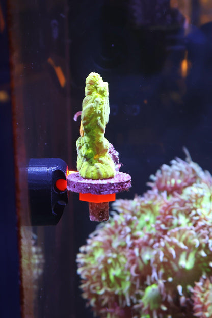 FragLoc™ - Magnetic Coral Frag Rack Kit