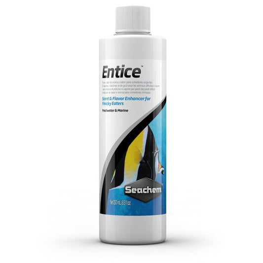 Entice™ 250ml